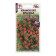 Flowers of the Ipomue "Kvamomlit Red", 0.3 g