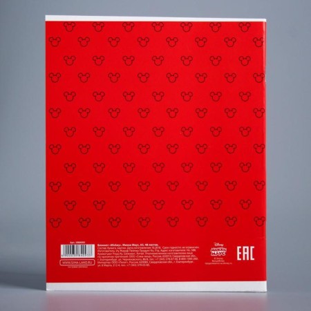 Notebook of 48 sheets in the Mickey Cage "Mickey Mouse"-2