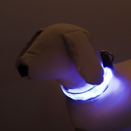 Collar with Militari's backlight 3 glow modes Size s, Osh 22-40 x 2.5 cm blue-1