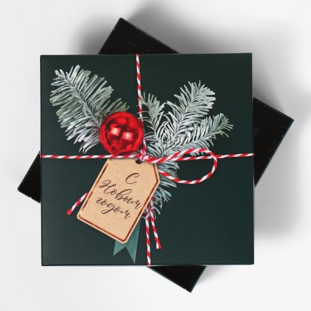 Box the team "New Year's package", 17 x 17 x 7 cm, New Year-3