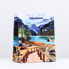 Gift package 