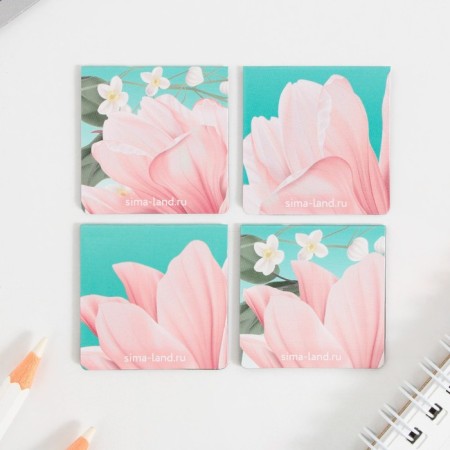 Magnetic bookmarks on the book for books "Dear Educator", 4 pcs.-5