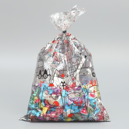 Plastic packet "Kisa", 20 x 30 cm, New Year-1