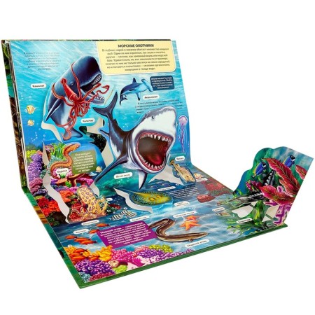 Encyclopedia "Predators" Book-Book, Pop Up-3
