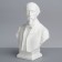 Gypsum figure famous people: Nekrasov bust, 14 x 8 x 20.5 cm