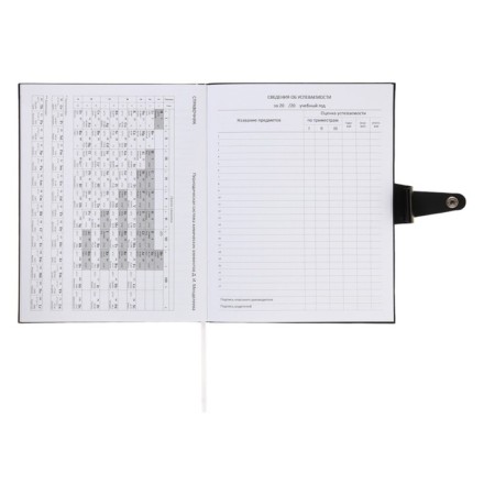 Universal diary for grade 1-11 Favourite. Black, soft cover, artificial leather, foil embossing, liesse, 80 g/m2-16