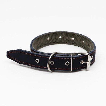 Collar combined leather/tarpaulin, dimensionless, 70 x 3.5 cm, Osh 25-60 cm, blue-1