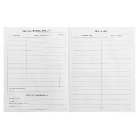 Diary for grades 5-11, "sneakers", solid cover 7BC, glossy lamination, 48 sheets-5