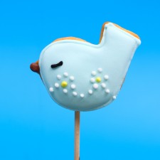 Vanilla mini-flood on a stick 