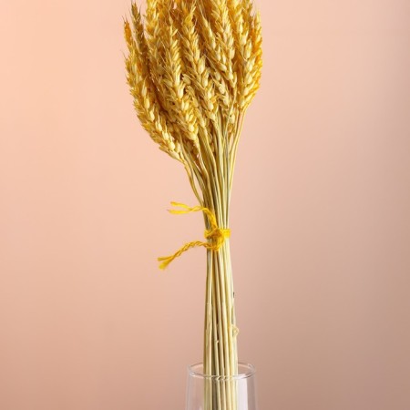 Set of dried flowers "wheat", banch 35-40 pcs, length 60-65 (+/- 6 cm), yellow-1