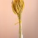 Set of dried flowers "wheat", banch 35-40 pcs, length 60-65 (+/- 6 cm), yellow