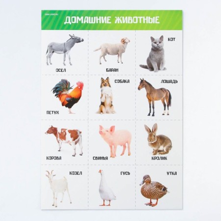 A set of training posters "Study the world", 10 in 1, A4-12