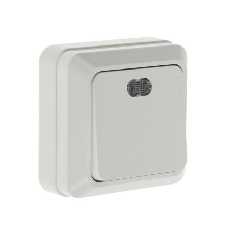 UNIVERSAL Olympus switch, 10 A, 1 key, external, backlight, white