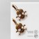 Earrings "Skull" in circles, color black gold