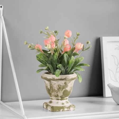 Bonsai "Craspedia Sherrovid" 8x19 cm, mix