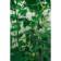 Discussion, 9 cm, set 50 pcs., Greengo