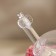 Glass jar for honey and jam with a spoon "Rose", 240 ml, 9.5 × 12 cm