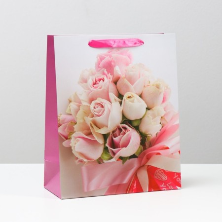 Laminated package, 26 x 32 x 12 cm