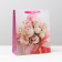 Laminated package, 26 x 32 x 12 cm