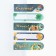 Steams of bookmarks with a sticky layer of “royal wealth”, 5 pcs on a substrate, 20 liters