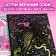 Activati ​​is a book with the tasks “engravings. For girls ”, Fairy, 12 p.