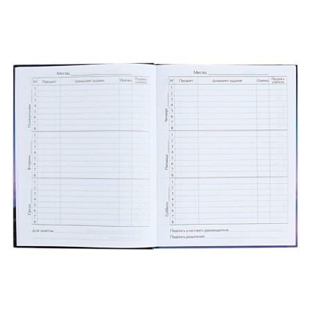 Universal diary for grades 1-11 on the verge, hard cover, matte lamination, selective varnish, 40 sheets-6