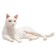 Figure Konik "Cat, White (lying)"