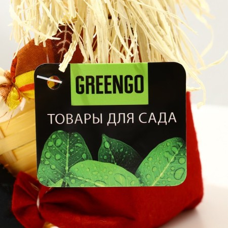 Flower stand, 1 pot, d = 7.5 cm, h = 7.5 cm, mix, “scarecrow”, greengo-4