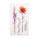 Set with tattoo transmission "Flowers with inscriptions"