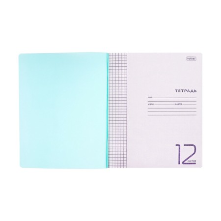 Notebook 12 sheets in the green cage, plastic cover, block 65 g/m2-3