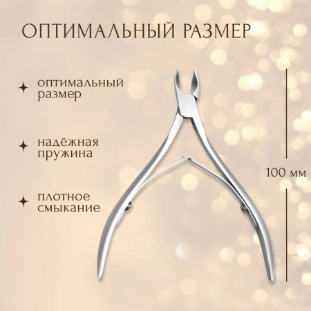 Pleshiles are manicure, double spring, 10 cm, blade length - 9 mm, silver color-1