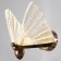 Lamp 2133/1W LED 5W gold 22x14x24 cm