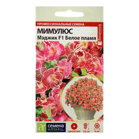 Seeds of flowers Mimulus Maggik "White Flame", this. ALT, c/n, 10 pcs