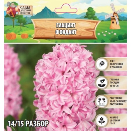 Hyacinth Fondant, rr 14/15, 3pcs, autumn 2024