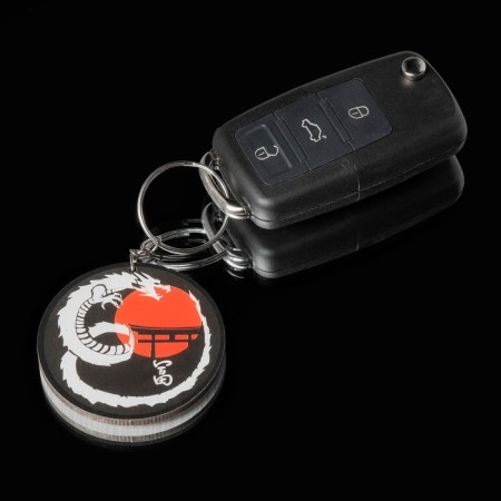 Car key keychain, dragon