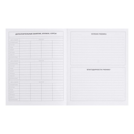 Diary for grades 5-11 "Dragon", integral cover, glossy lamination, 48 sheets-5