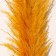 Sukhotzet "Cortery", 1 branch, length 140-150 cm, mustard