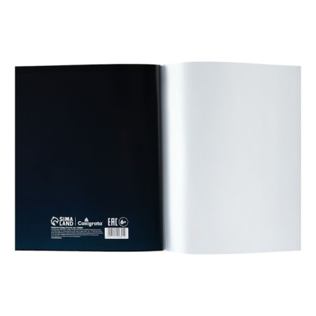 Subject notebook Calligrata Top "School style", 48 sheets in a cell of physics, with reference material, plastic cover, offset unit-5