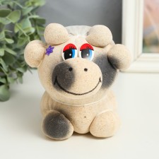 Growing gift Eco -Zhizhivchik 