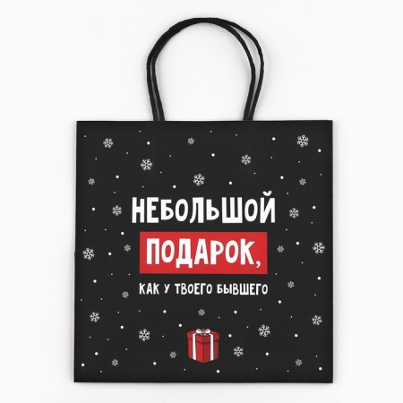 Package Gift "Small Gift", 22 x 22 x 11 cm, New Year-6