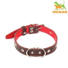 Collar leather reinforced with a kapron with a half-ring, 55 x 2.5 cm, Osh 27-53 cm, brown