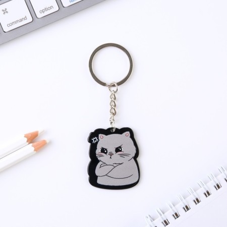 Acrylic key a keychain “I am harmful”, 7 x 12.5 cm