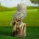 Garden figure "Owl on the stump" gray, 28cm