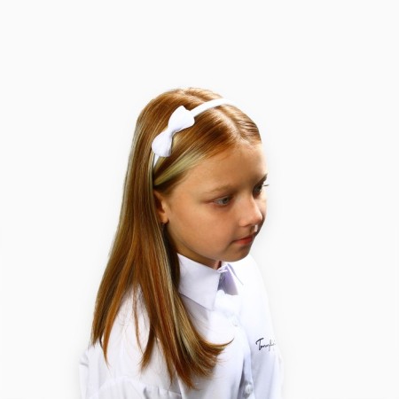 Gift set: hair rim 11 cm, hair clip 6.5 cm, 2 pcs, princesses-6
