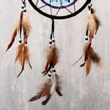 Dreams "Multi -colored feathers" d = 20 cm-3