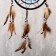Dreams "Multi -colored feathers" d = 20 cm