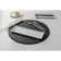 Porcelain dish for feeding Magistro Slate, 30 × 10 cm, white color