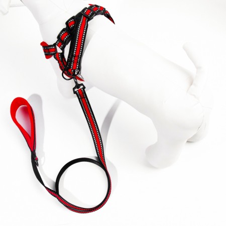 The ammunition set is soft, reflective, leash 120 x 2 cm, Osh 25-72 cm, red-2