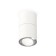 Turning lamp Ambrella Light, XS7401160, MR16 GU5.3 LED 10 W, white sand, silver color