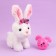 Napchik children with a soft toy "Bunny"